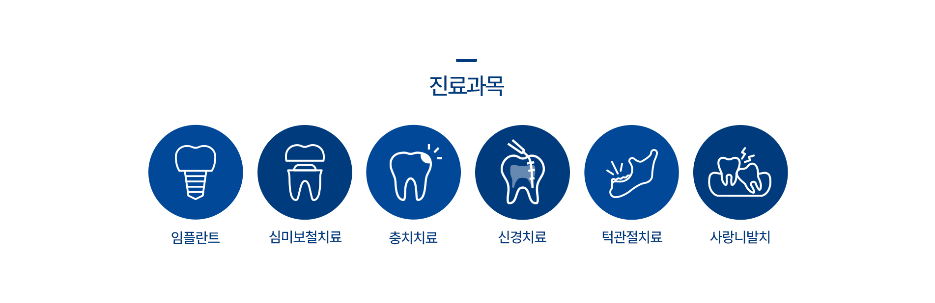 진료과목